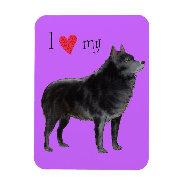 Íman Eu amo meu Schipperke (Vertical)