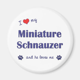 Íman Eu amo meu Schnauzer diminuto (o cão masculino)