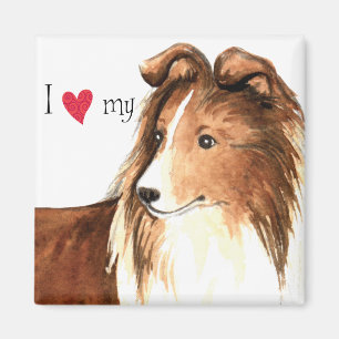 Íman Eu amo meu Sheltie