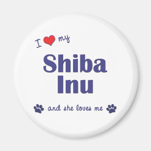 Íman Eu amo meu Shiba Inu (o cão fêmea)
