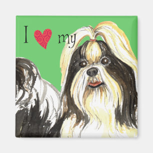 Íman Eu amo meu Shih Tzu