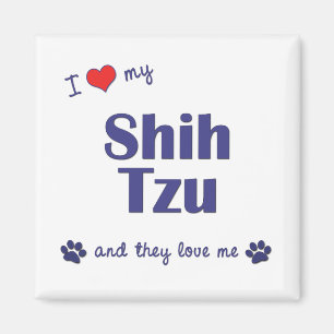 Íman Eu amo meu Shih Tzu (os cães múltiplos)