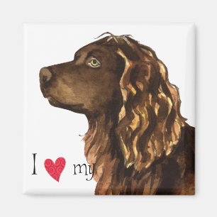 Íman Eu amo meu Spaniel de Boykin