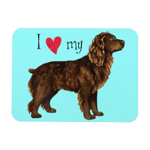 Íman Eu amo meu Spaniel de Boykin