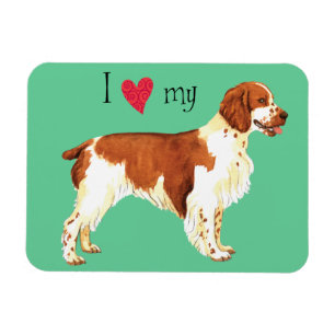 Íman Eu amo meu Spaniel de galês Springer