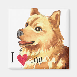 Íman Eu amo meu Spitz finlandês