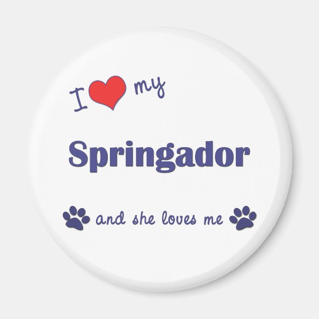 Íman Eu Amo Meu Springador (Cachorro Feminino) (Frente)