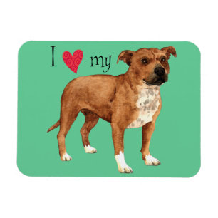 Íman Eu amo meu Staffordshire bull terrier