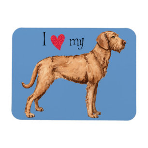 Íman Eu amo meu Vizsla Wirehaired