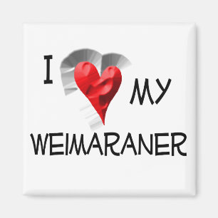 Íman Eu Amo Meu Weimaraner