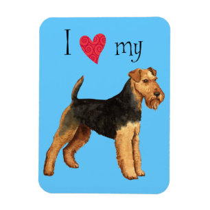 Íman Eu amo meu Welsh Terrier