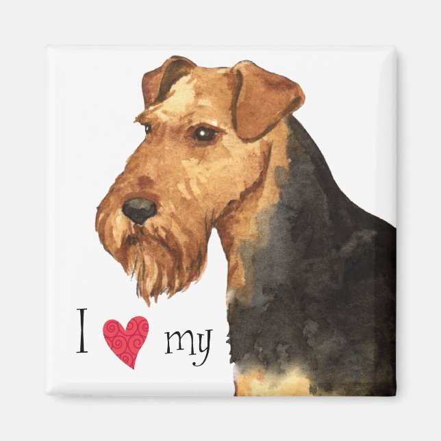 Íman Eu amo meu Welsh Terrier (Frente)