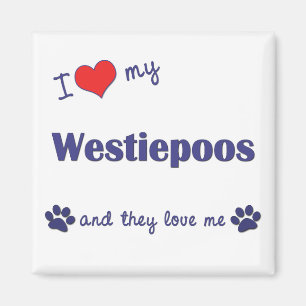 Íman Eu amo meu Westiepoos (os cães múltiplos)