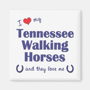 Íman Eu amo meus cavalos de passeio de Tennessee (os