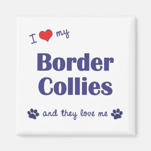 Íman Eu amo meus Collies de beira (os cães múltiplos)