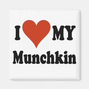 Íman Eu amo meus presentes e roupa do gato de Munchkin