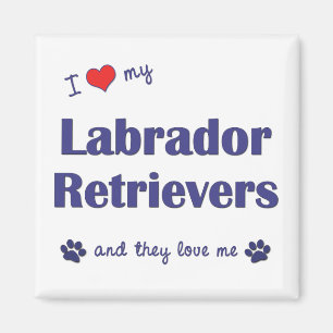 Íman Eu amo meus Retrievers de Labrador (os cães