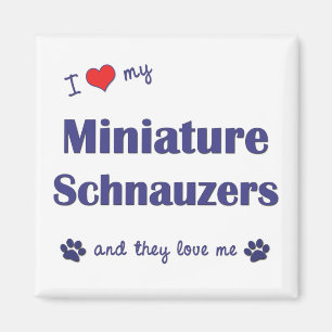 Íman Eu amo meus Schnauzers diminutos (os cães