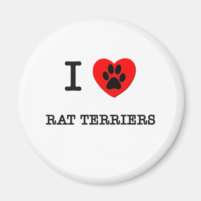 ÍMAN EU AMO MEUS TERRIERS DE RATO (Frente)