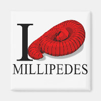 Eu Amo Millipedes Magnets
