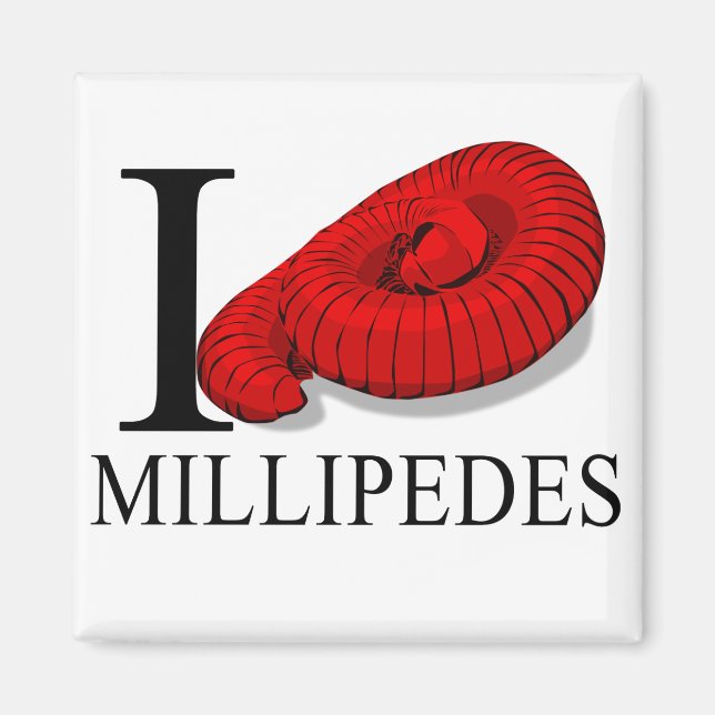 Íman Eu Amo Millipedes Magnets (Frente)