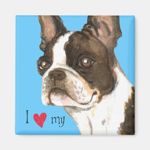 Íman Eu amo minha Boston Terrier