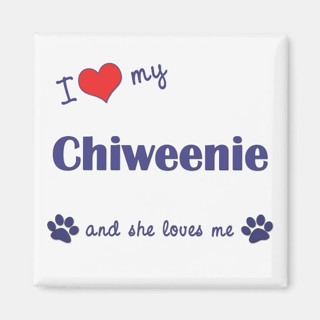 Íman Eu Amo Minha Chiweenie (Cachorro Feminino) (Frente)