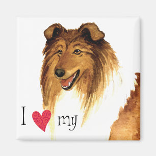 Íman Eu amo minha Collie