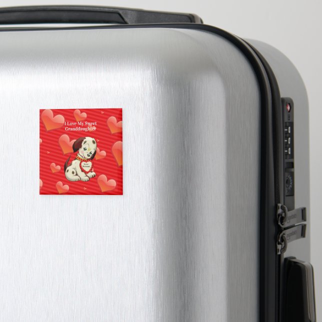Íman Eu amo minha doce neta, (In Situ (Luggage))