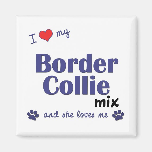 Íman Eu Amo Minha Fronteira Collie Mix (Cachorro Femini (Frente)