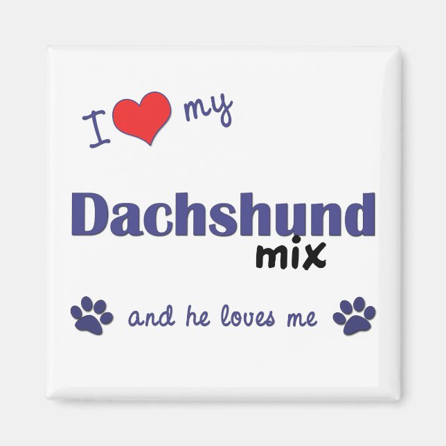 Íman Eu Amo Minha Mistura De Dachshund (Cachorro Mascul (Frente)