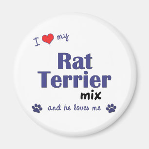 Íman Eu amo minha mistura de Terrier de rato (o cão