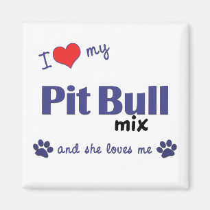 Íman Eu amo minha mistura do pitbull (o cão fêmea)