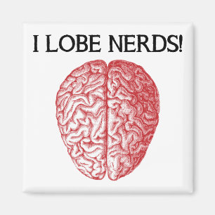 Íman Eu Amo Nerds Amo Ímã de Geladeira Divertido