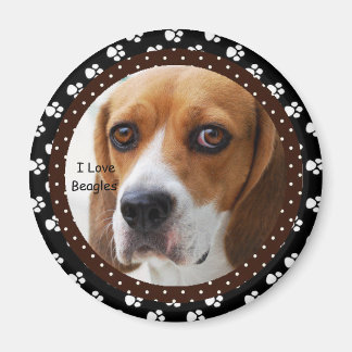 Íman Eu amo o Beagles Magnet