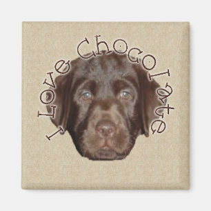 Íman Eu amo o chocolate