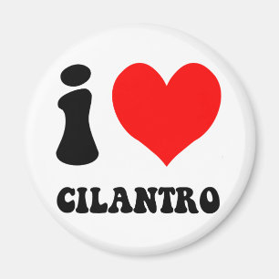 Íman eu amo o cilantro