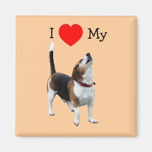 Íman Eu amo o coração meu ímã do cão do lebreiro