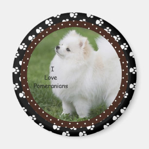 Íman Eu amo o ímã 2 do cão de Pomeranian