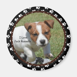 Íman Eu amo o ímã de Jack Russells