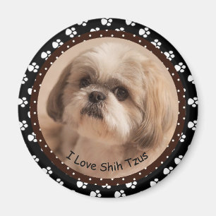 Íman Eu amo o ímã de Shih Tzus