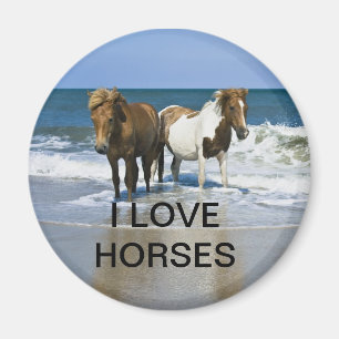 ÍMAN EU AMO O ÍMÃ DOS CAVALOS