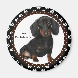Íman Eu amo o ímã dos Dachshunds