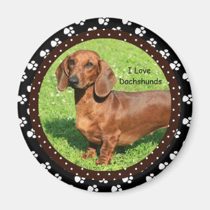 Íman Eu amo o ímã dos Dachshunds 2
