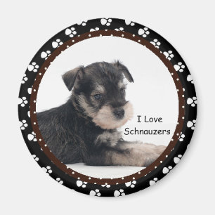 Íman Eu amo o ímã dos Schnauzers