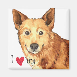 Íman Eu Amo o meu Canaan Dog