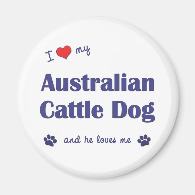 Íman Eu Amo O Meu Cão De Bovinos Australiano (Cachorro  (Frente)