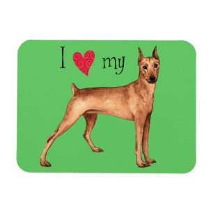 Íman Eu Amo o meu Pinscher Alemão
