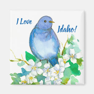 Íman Eu amo o Syringa do Bluebird da montanha de Idaho
