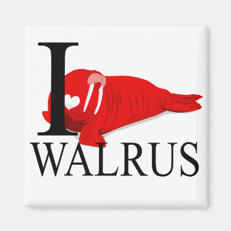 Íman Eu Amo Os Magnets De Walrus
